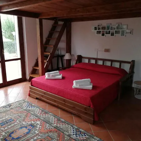Vocabolo Casa Nuova Paltriccia