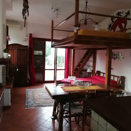 Vocabolo Casa Nuova Paltriccia *